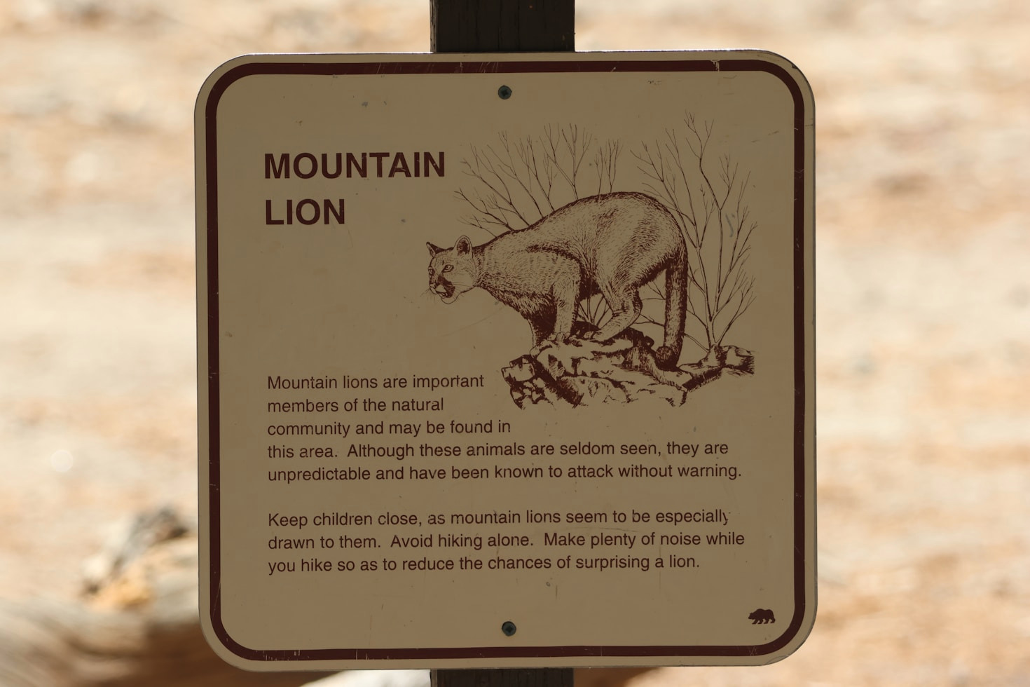 Why Humane Removal Matters For Wildlife